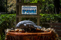 2013-03-13 Homosassa Springs Wildlife State Park